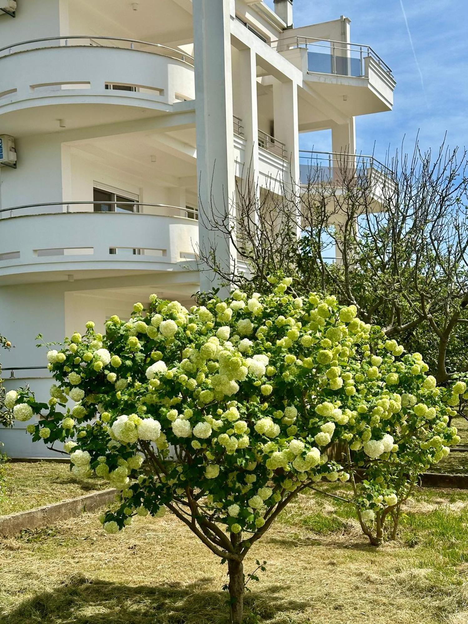 Le Domaine Green Paradise Ulcinj Zewnętrze zdjęcie